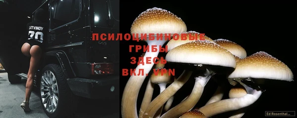 каннабис Армянск
