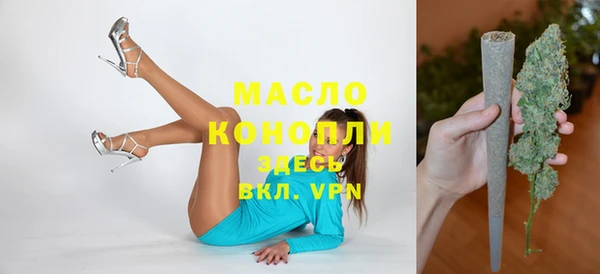 гашик Елизово