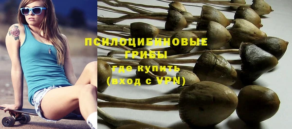 круглые Арсеньев