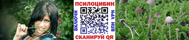 Псилоцибиновые грибы прущие грибы  дарнет шоп  Сорск 